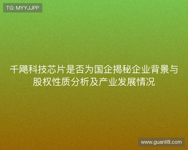 千飓科技芯片是否为国企揭秘企业背景与股权性质分析及产业发展情况